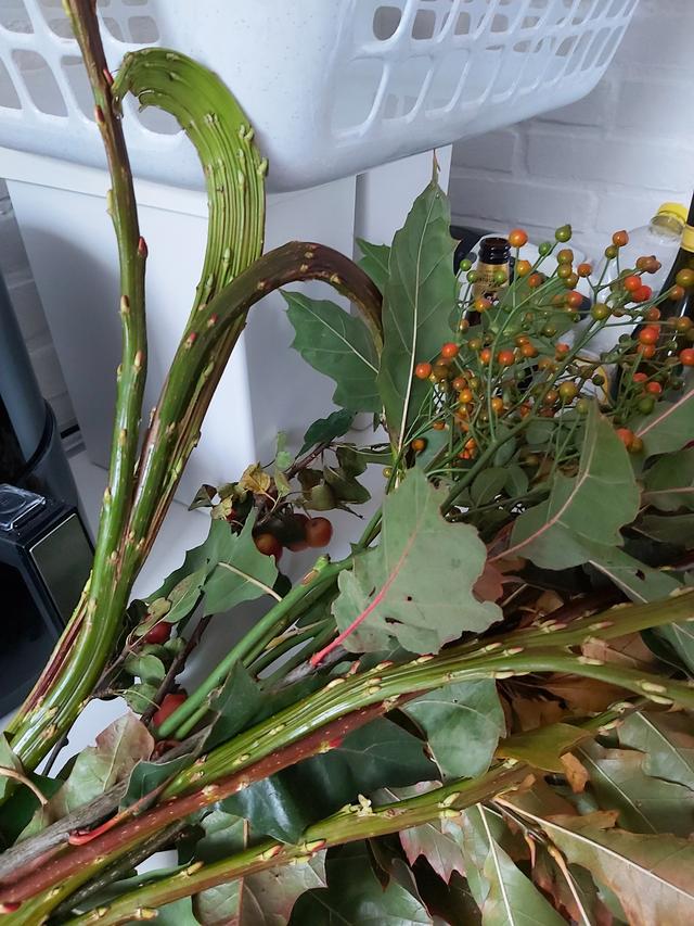 Picture for question