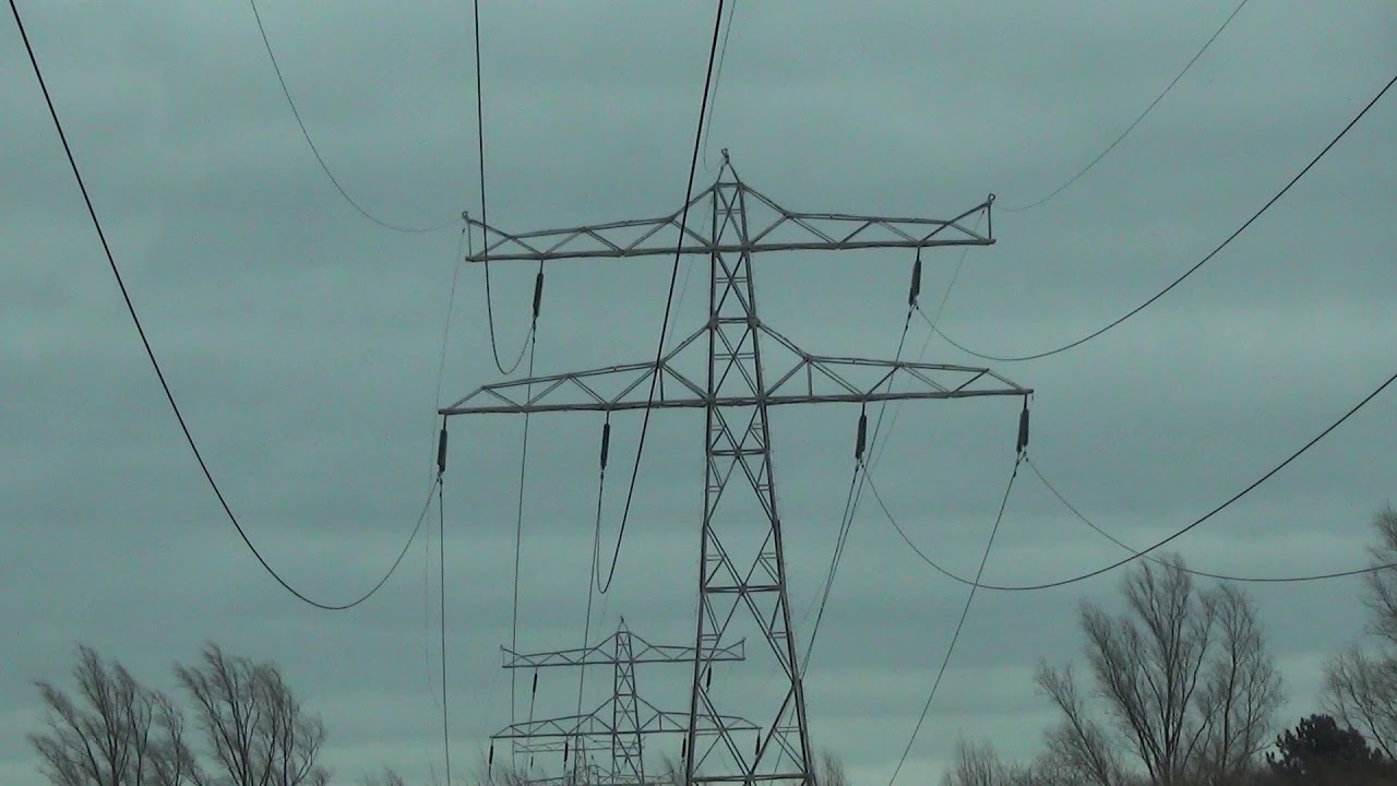 Picture for question