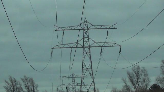 Picture for question