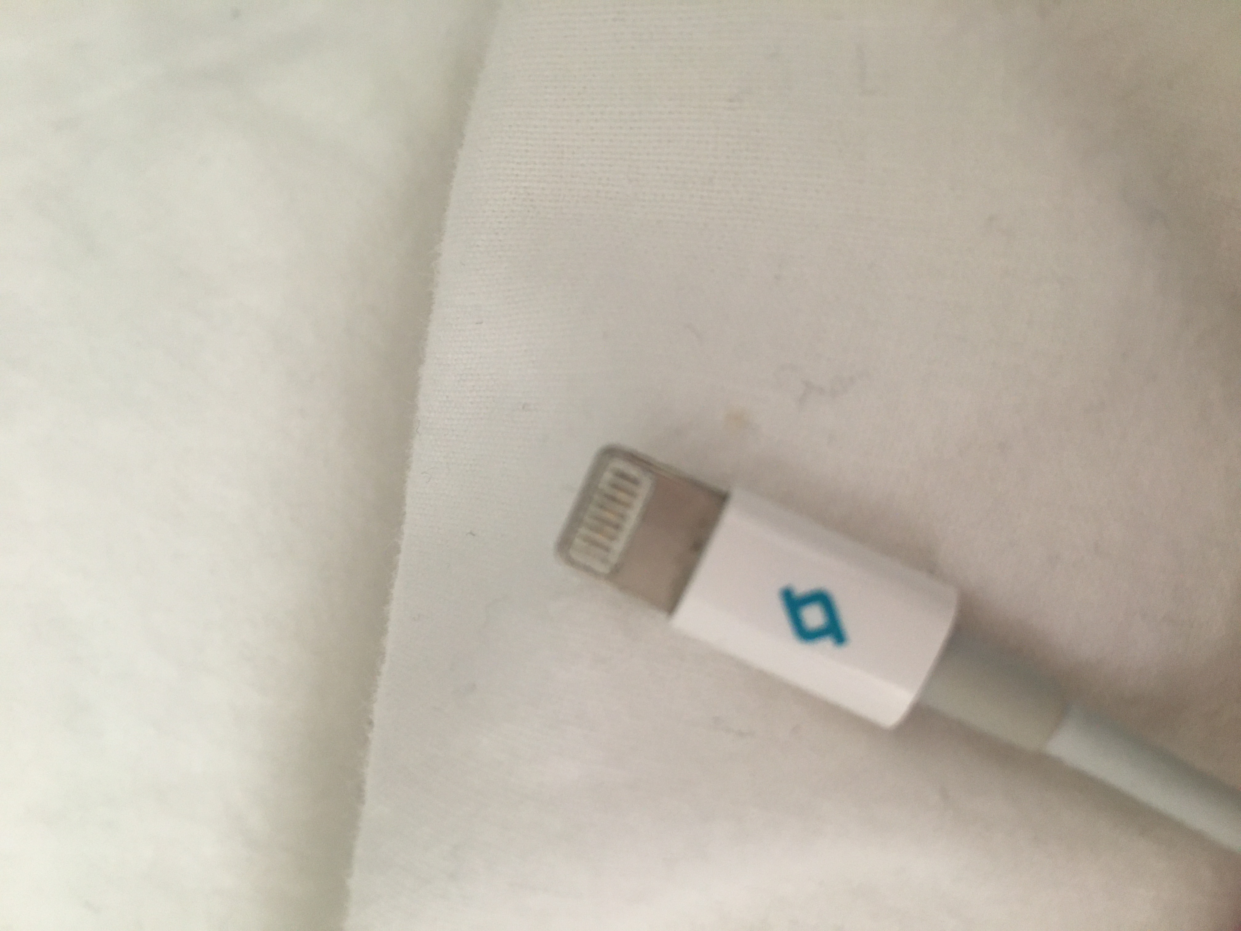 Picture for question