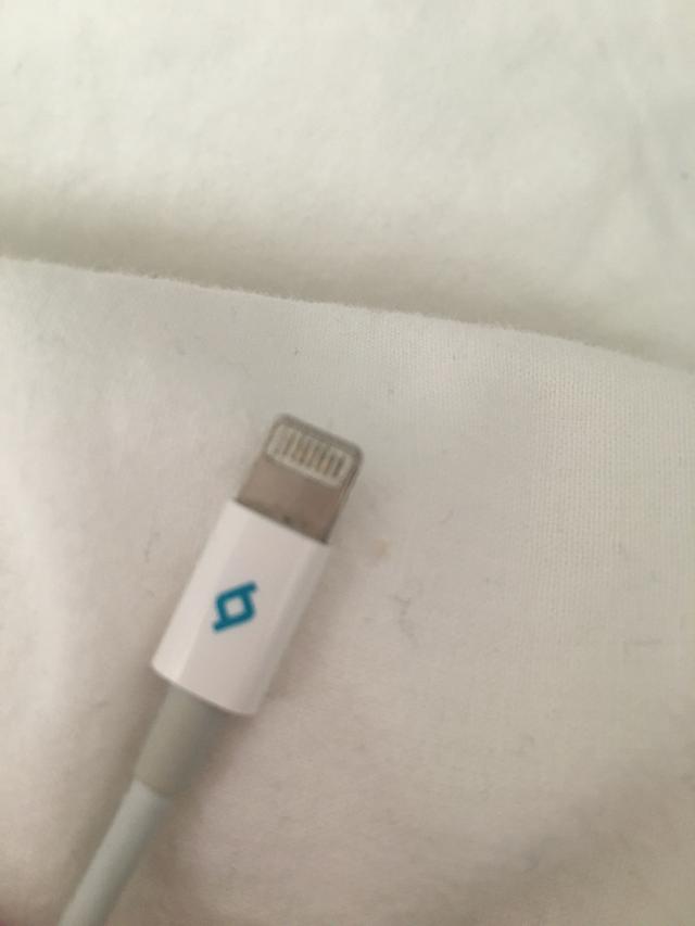 Picture for question