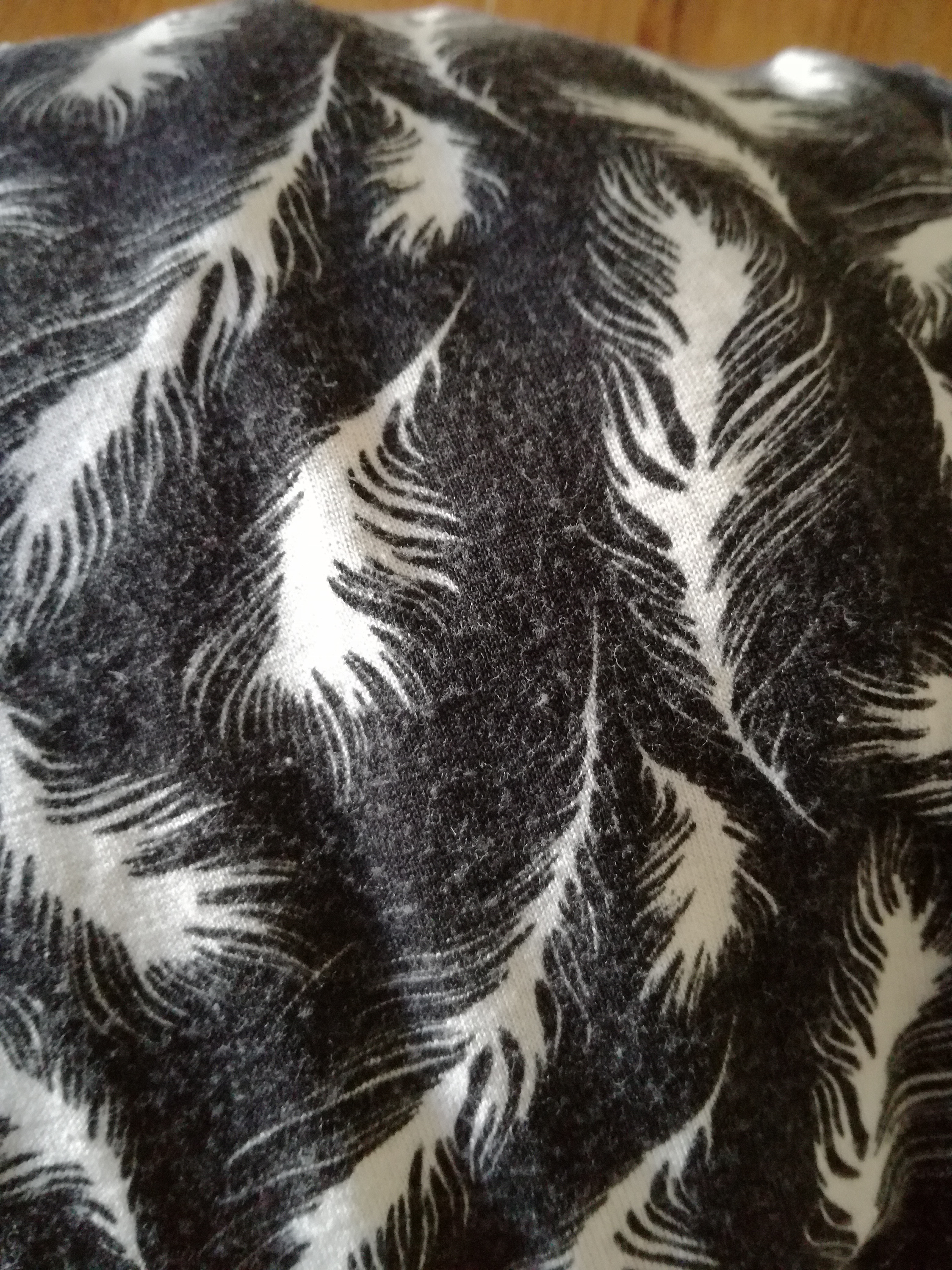 Picture for question