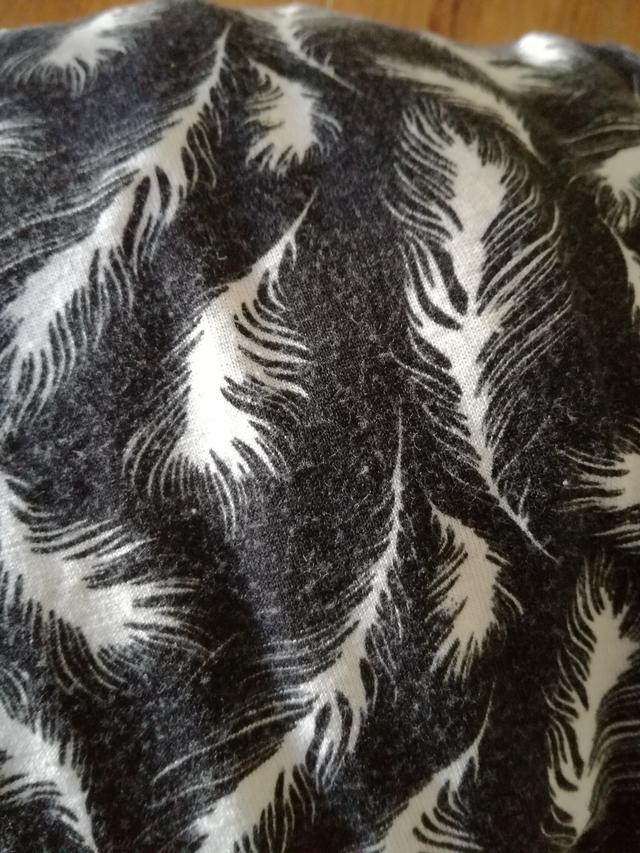 Picture for question