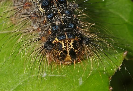 Plaatje bij antwoord