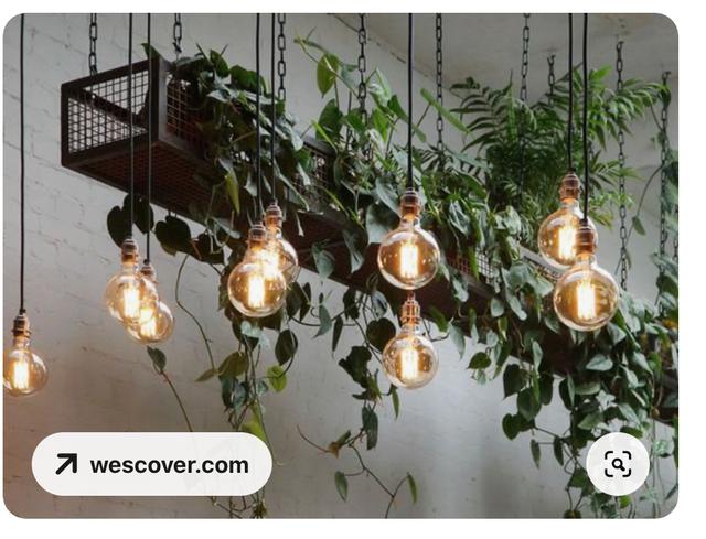 Picture for question