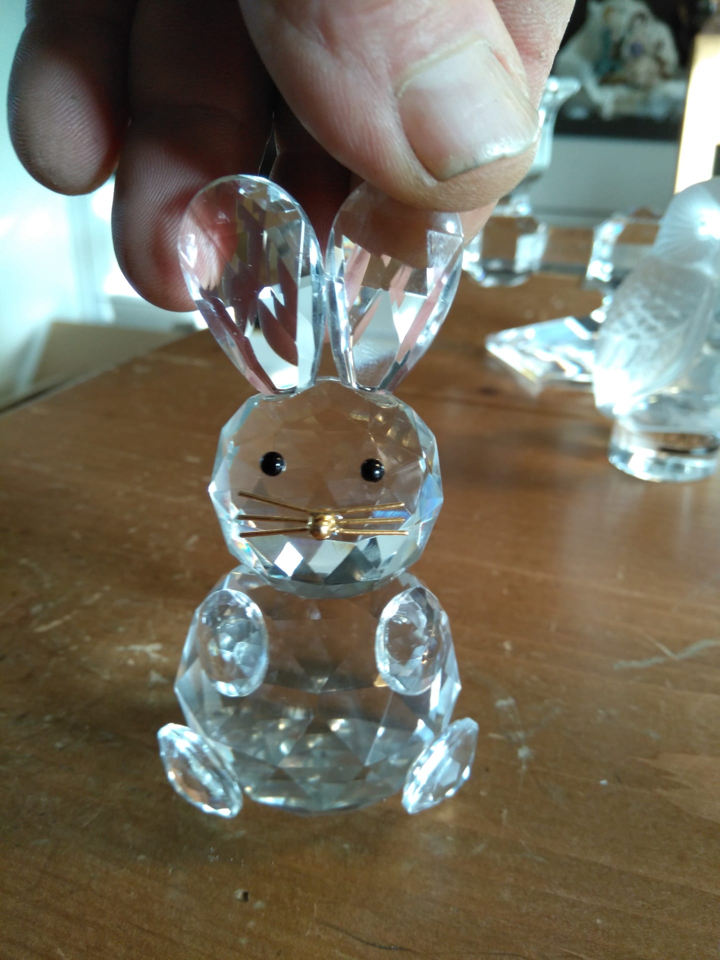 Picture for question