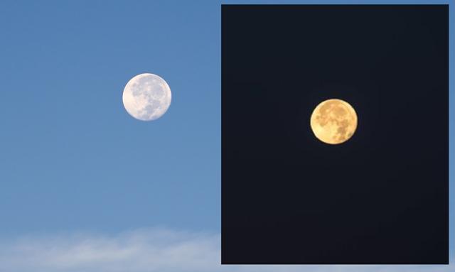 Picture for question