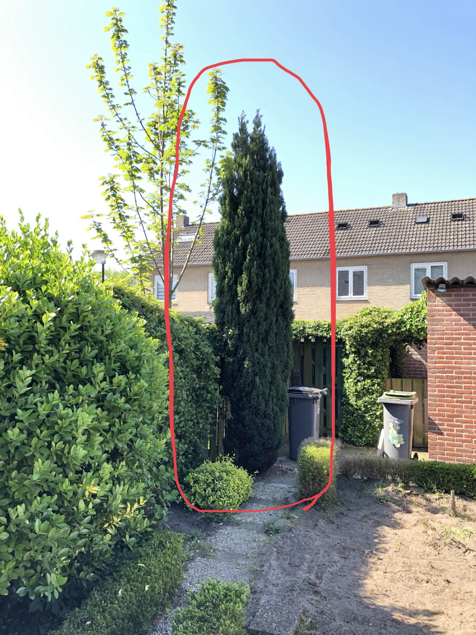 Picture for question