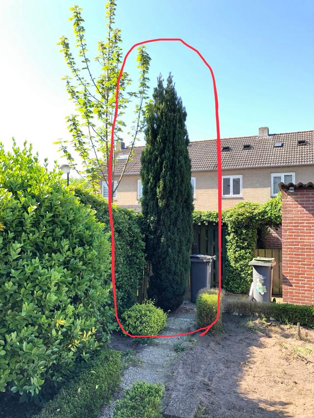 Picture for question
