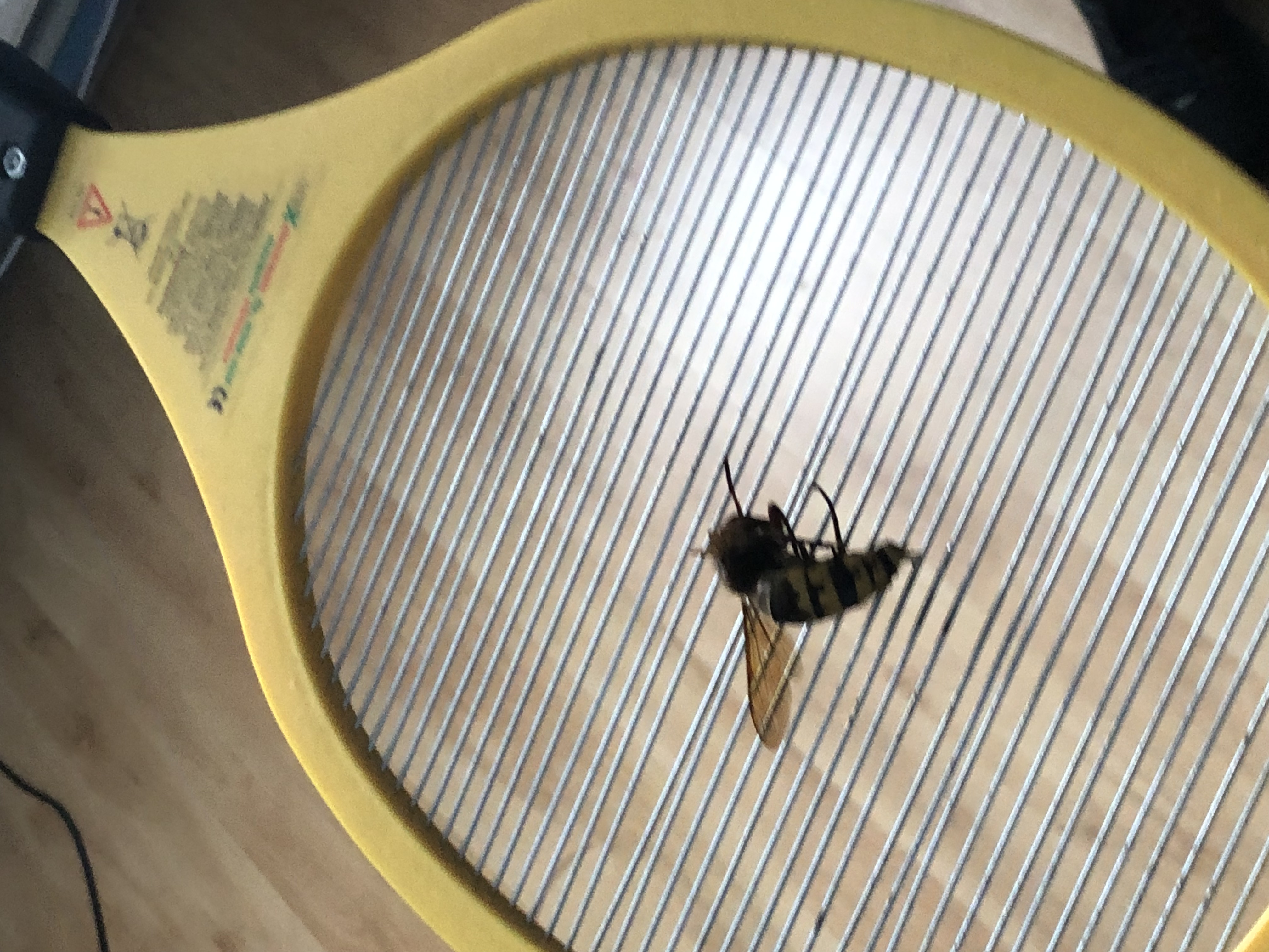 Picture for question