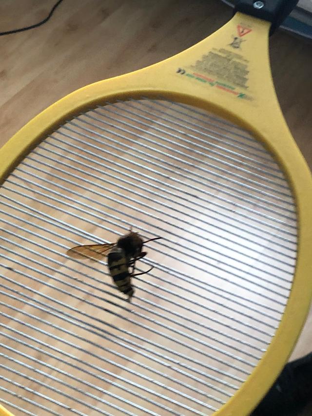 Picture for question