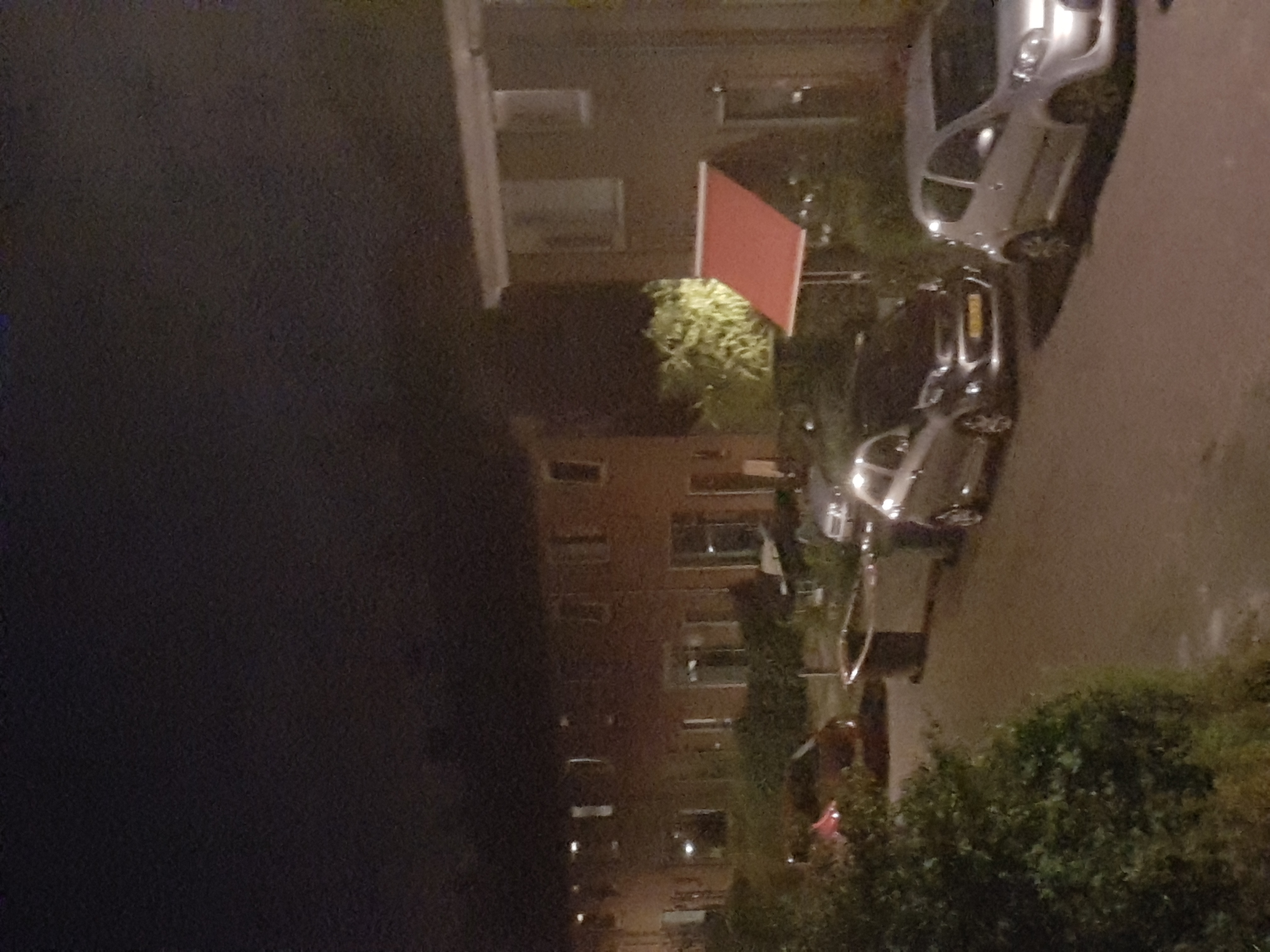 Picture for question