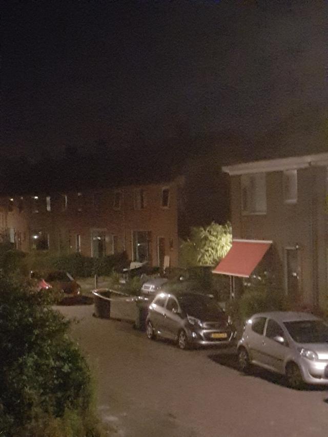 Picture for question