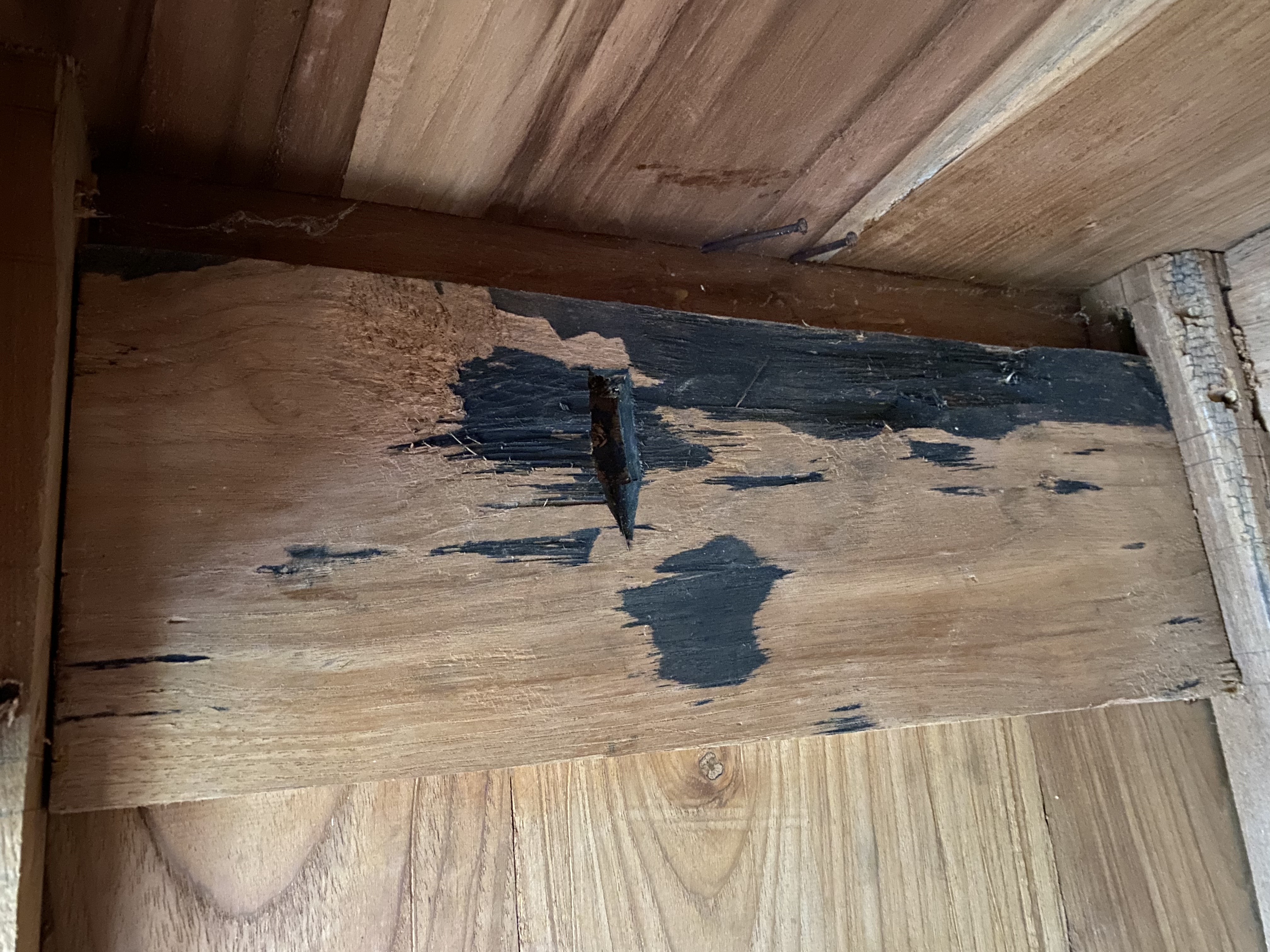 Picture for question