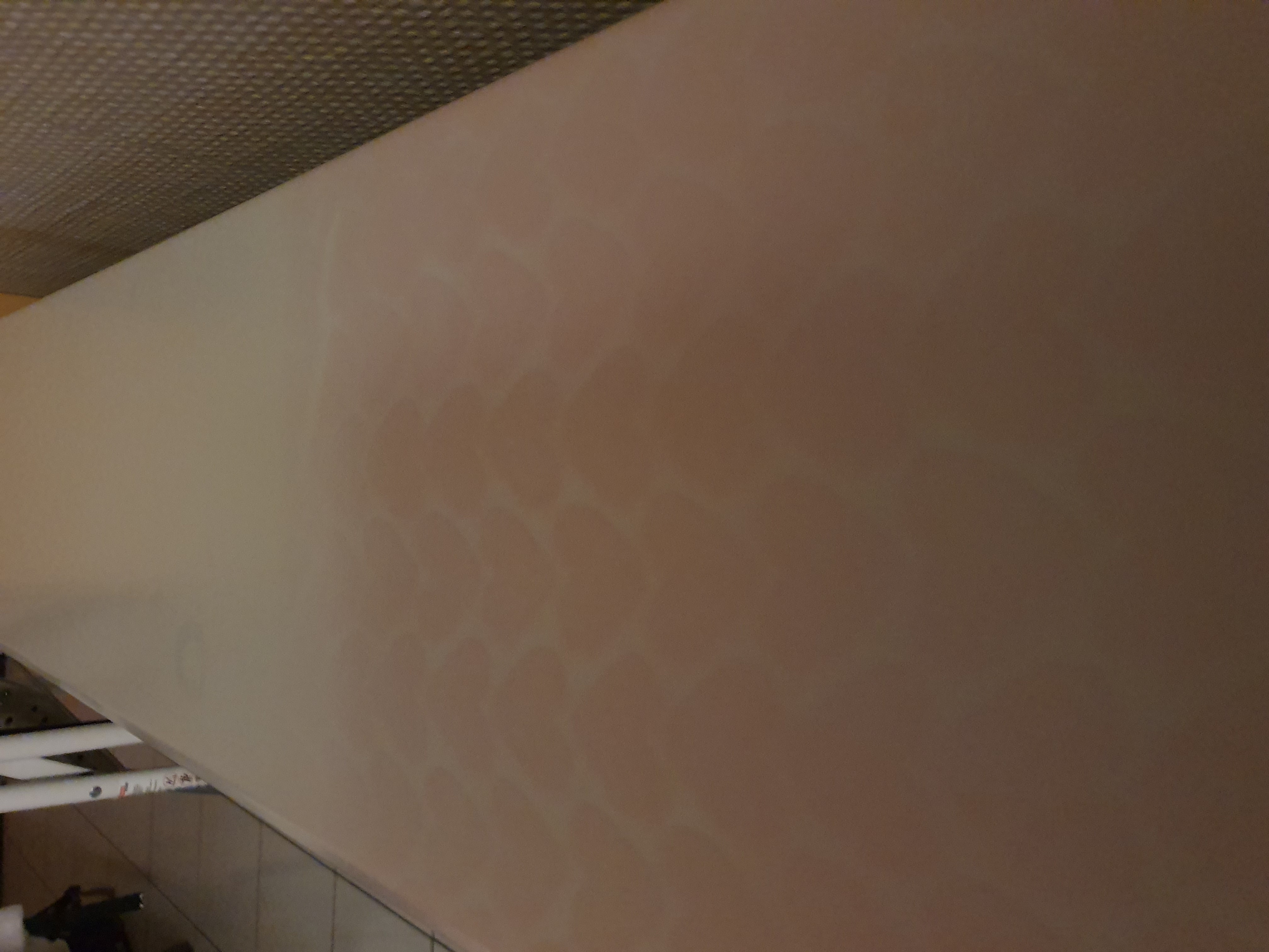 Picture for question