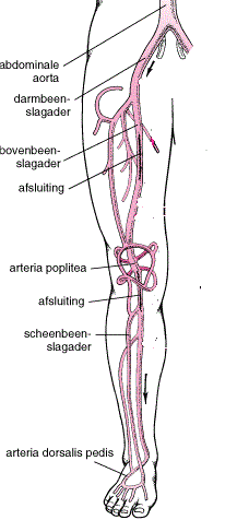 Plaatje bij antwoord
