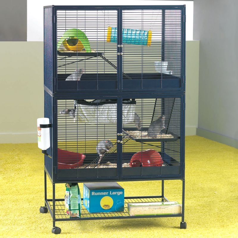 Picture for question