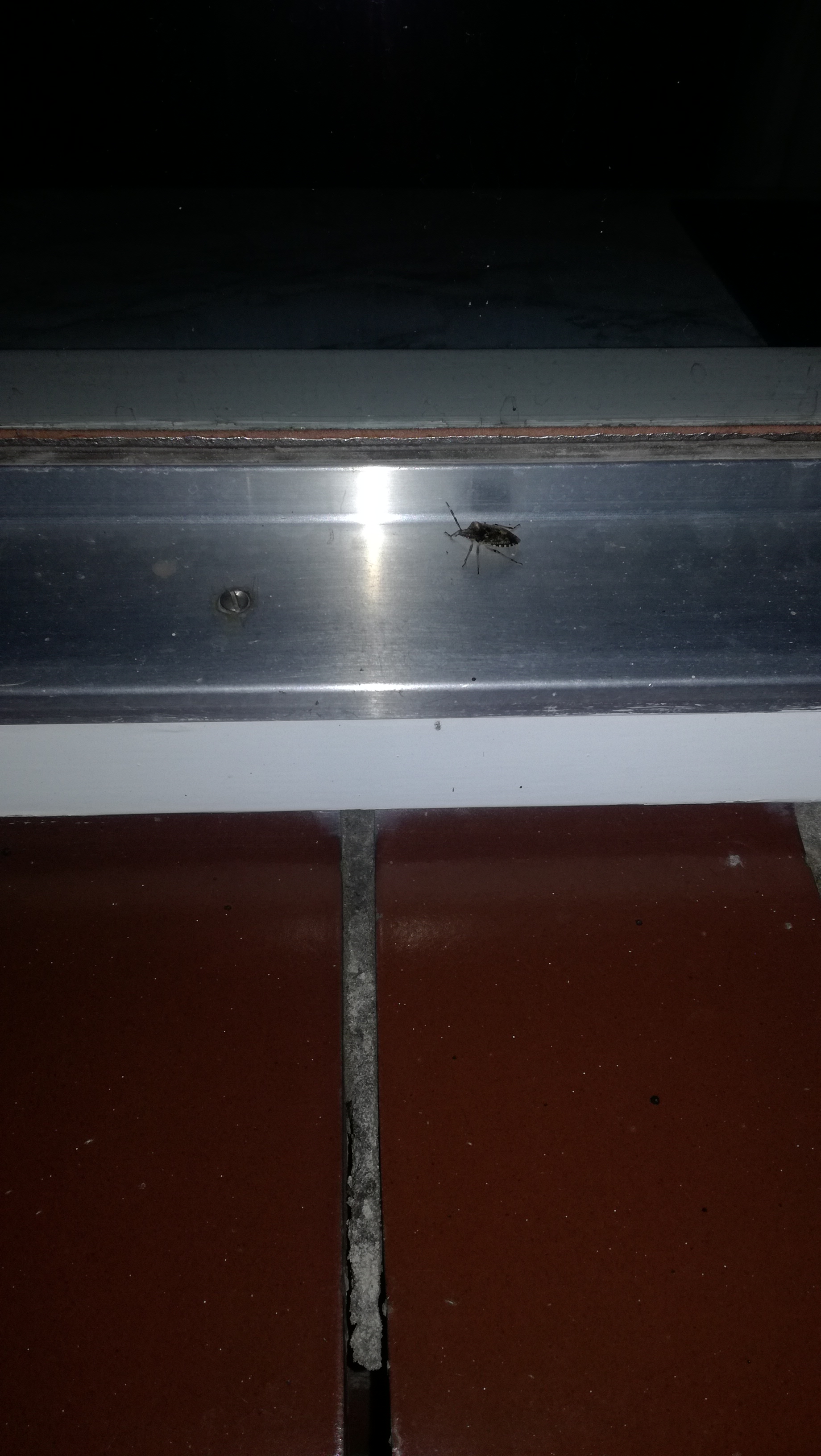 Picture for question