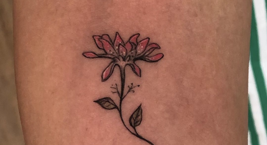 Picture for question