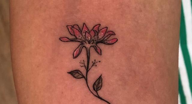 Picture for question