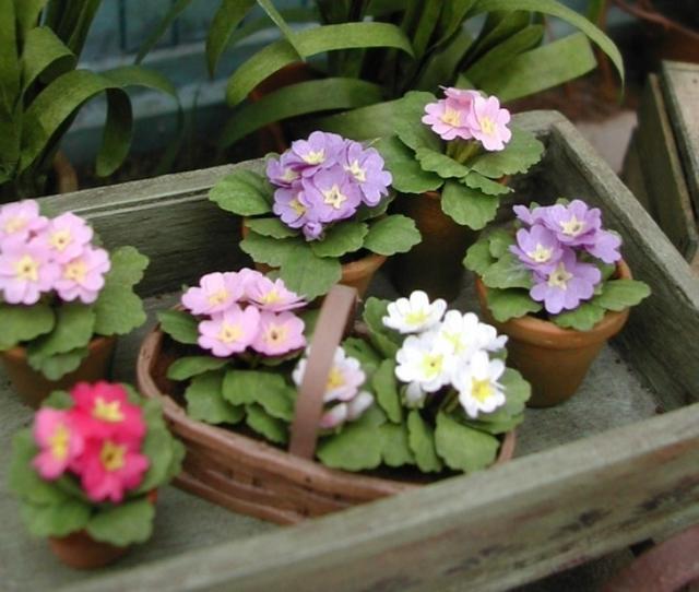 Plaatje bij antwoord