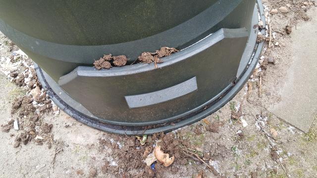 Picture for question