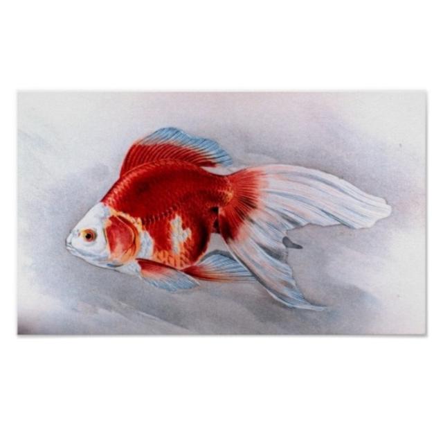 Plaatje bij antwoord