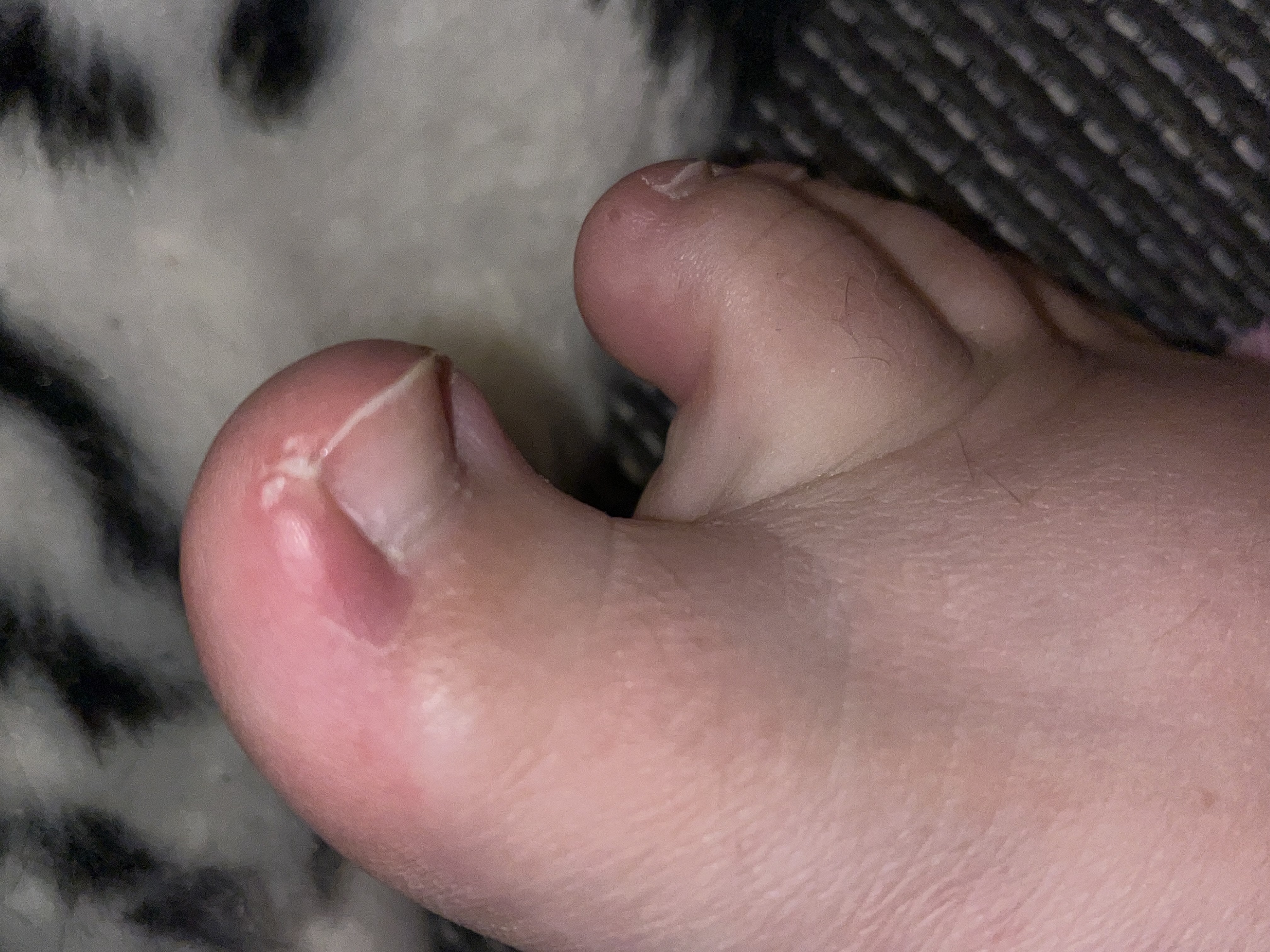 Picture for question