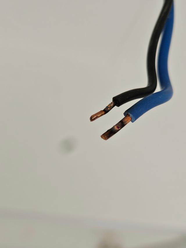 Picture for question