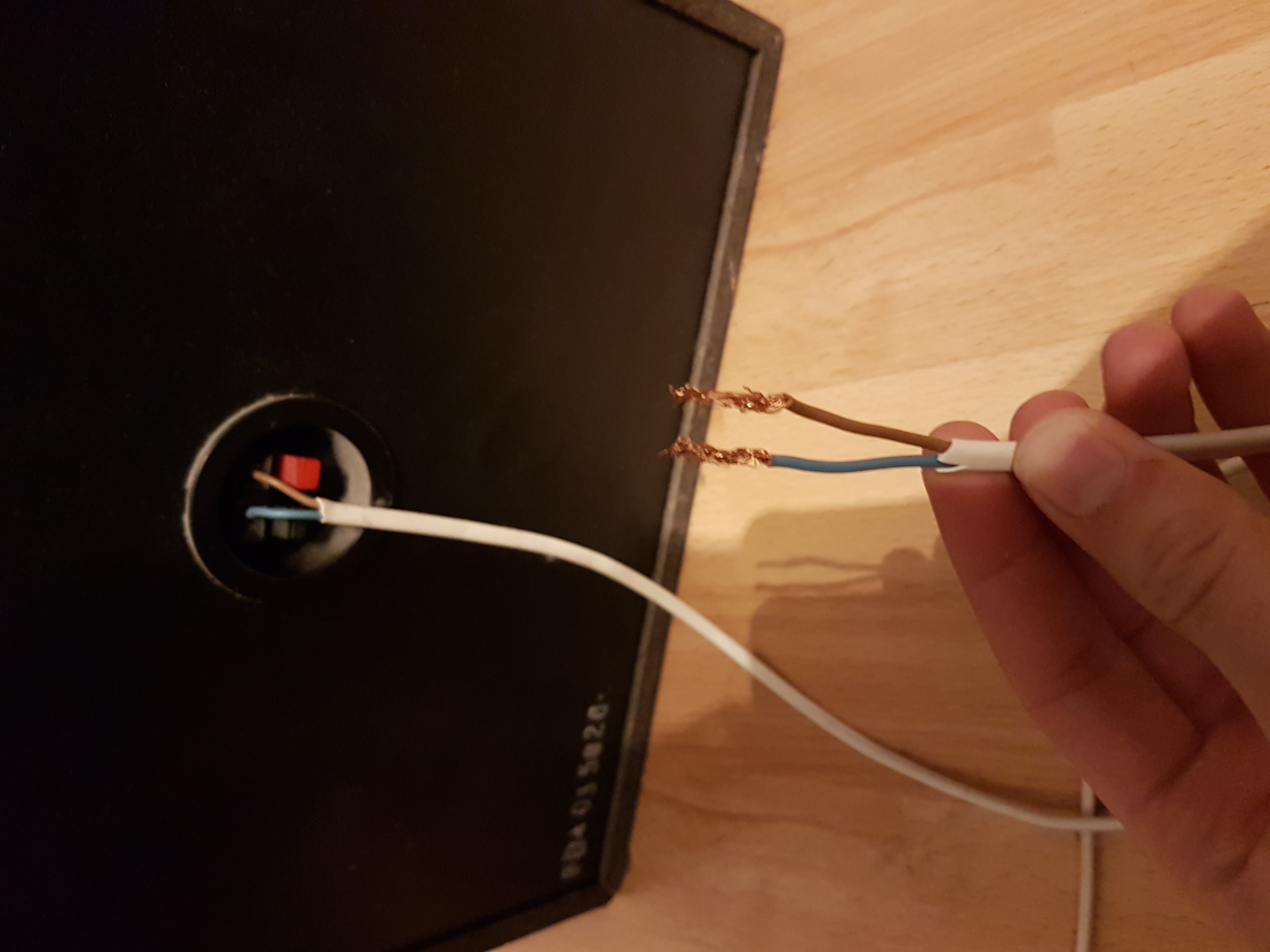 Picture for question