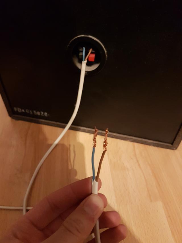 Picture for question