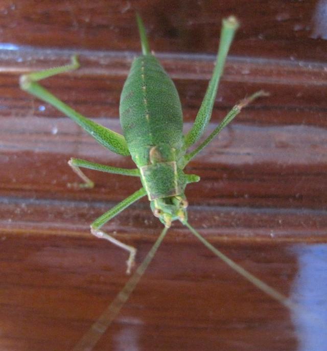 Plaatje bij antwoord