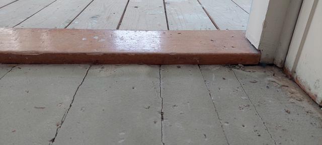 Picture for question