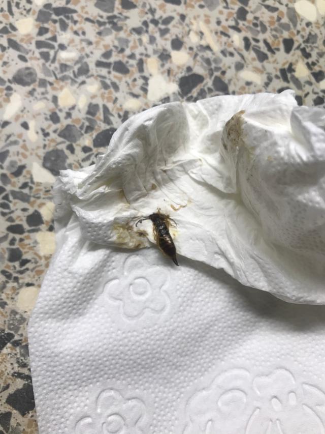 Picture for question