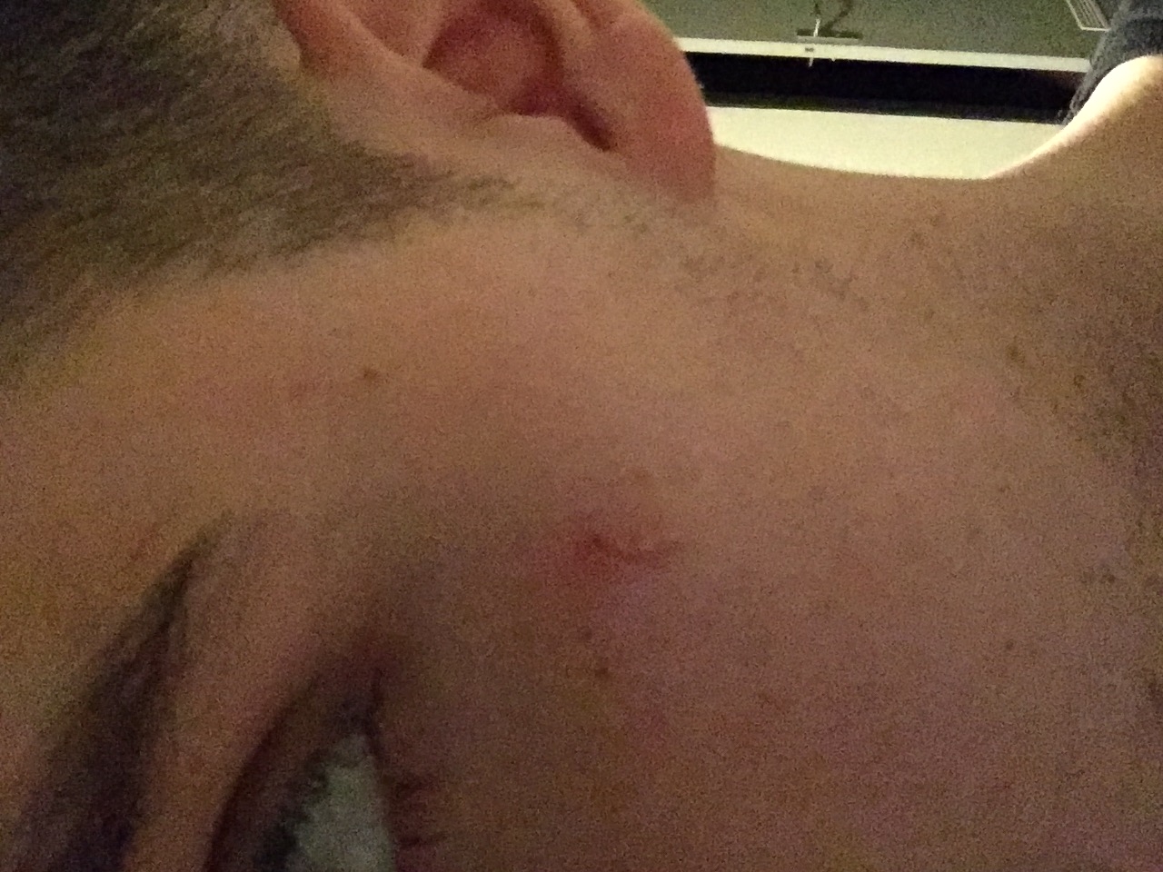 Picture for question