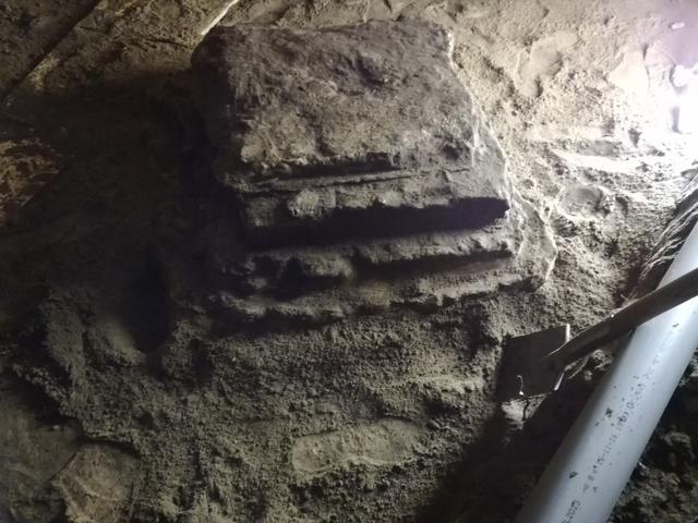 Picture for question