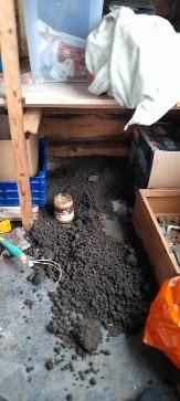 Picture for question