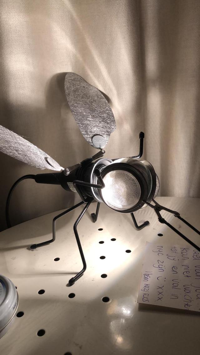 Picture for question