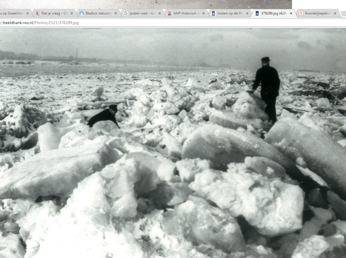 Picture for question