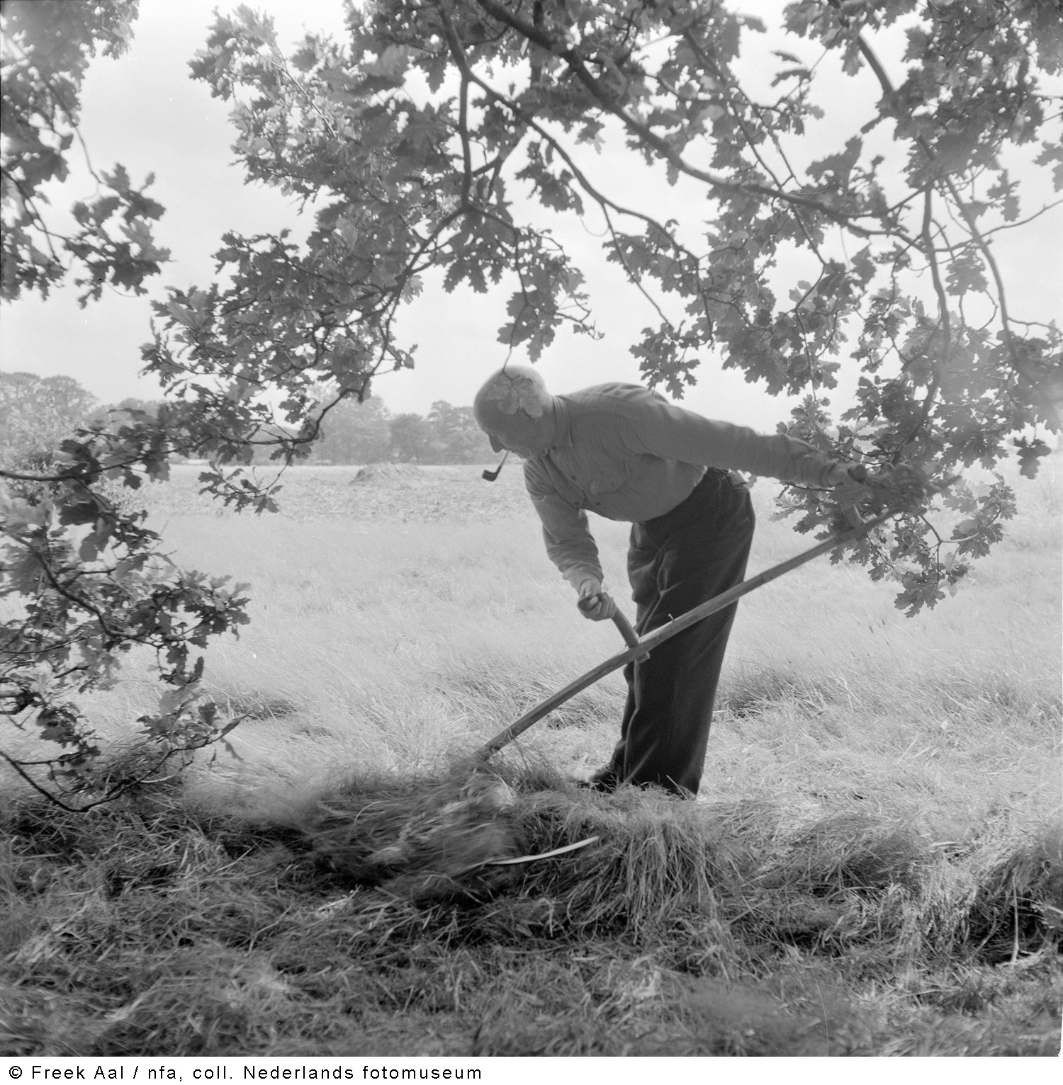 Plaatje bij antwoord