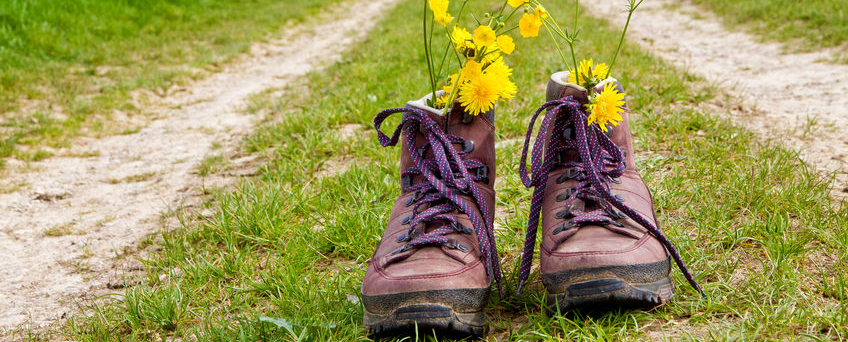 Waarom wandelen in de natuur goed voor je is - Startpagina Blog