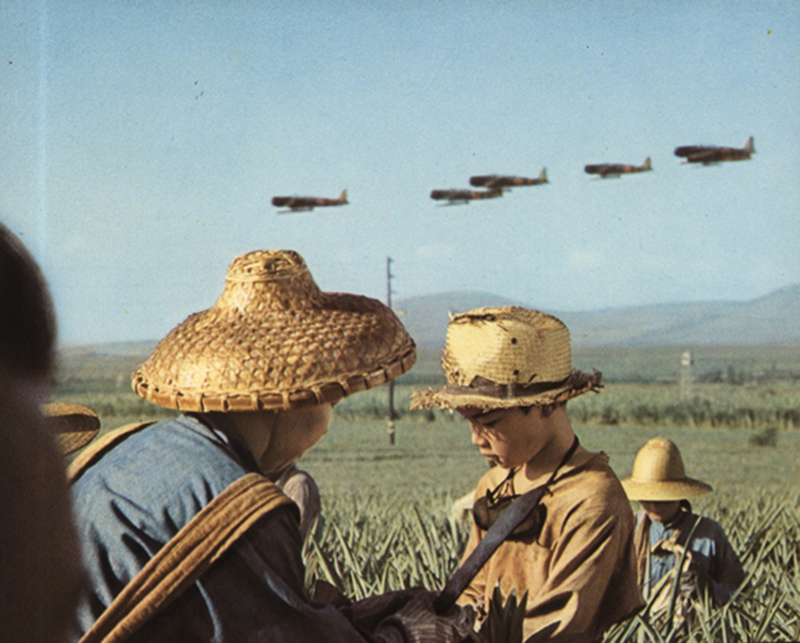 Picture for question