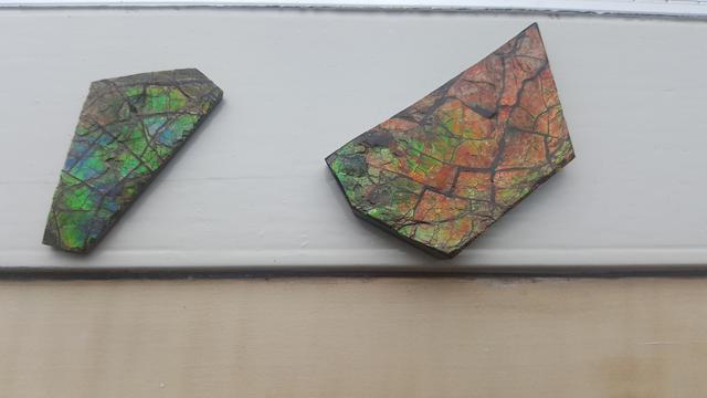 Picture for question