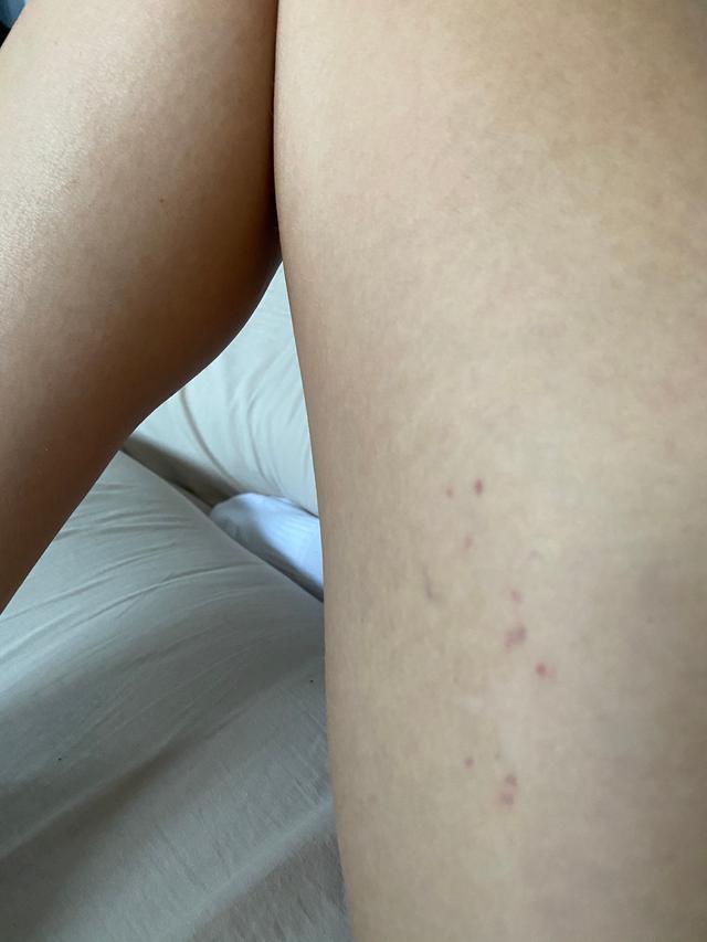 Picture for question