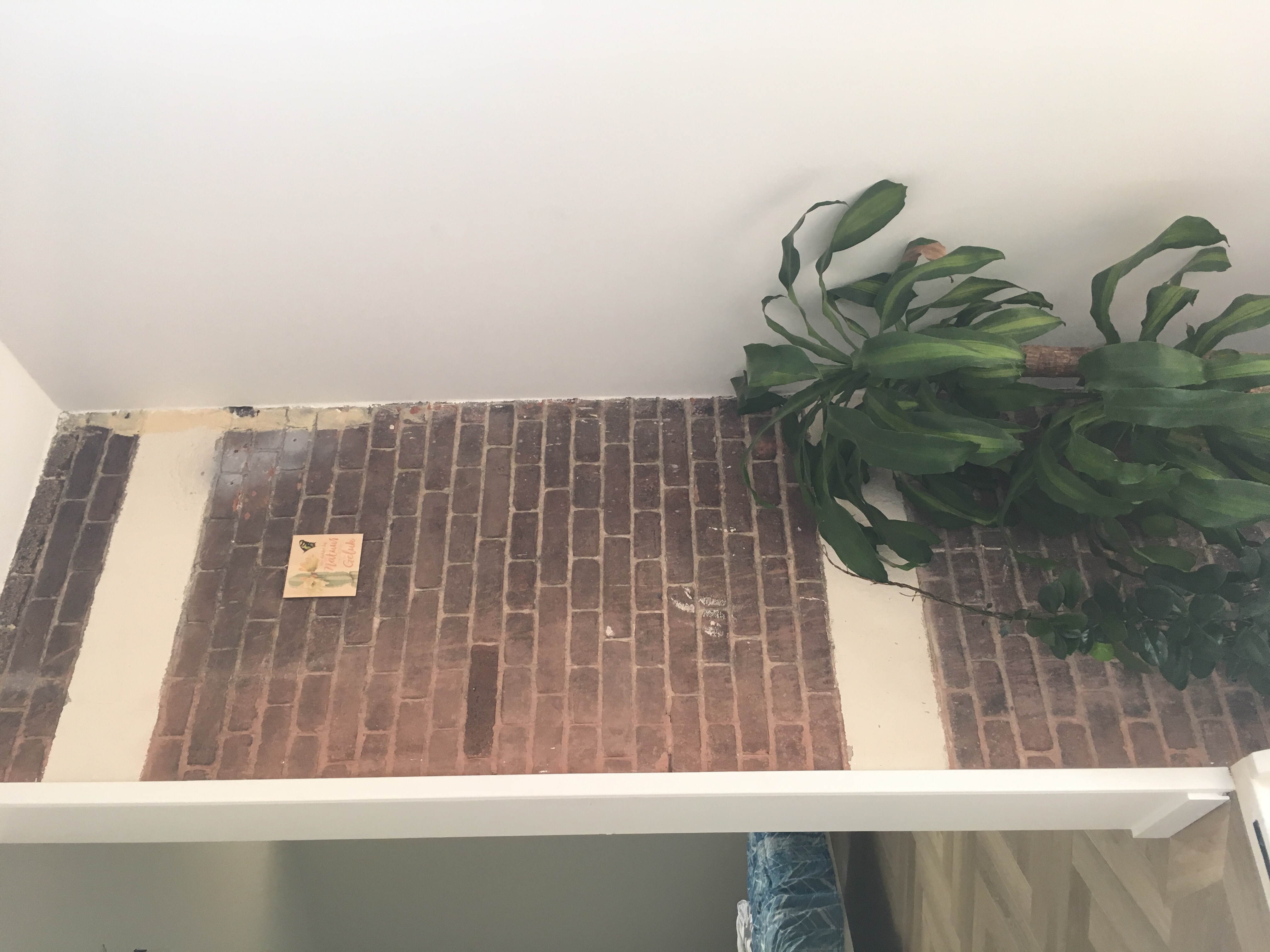 Picture for question