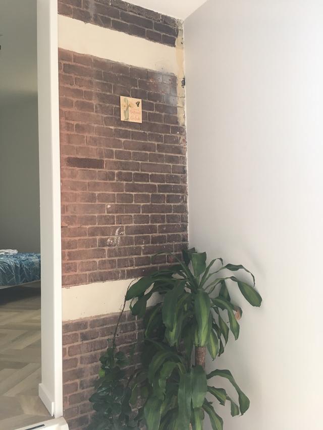 Picture for question