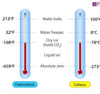 Picture for question