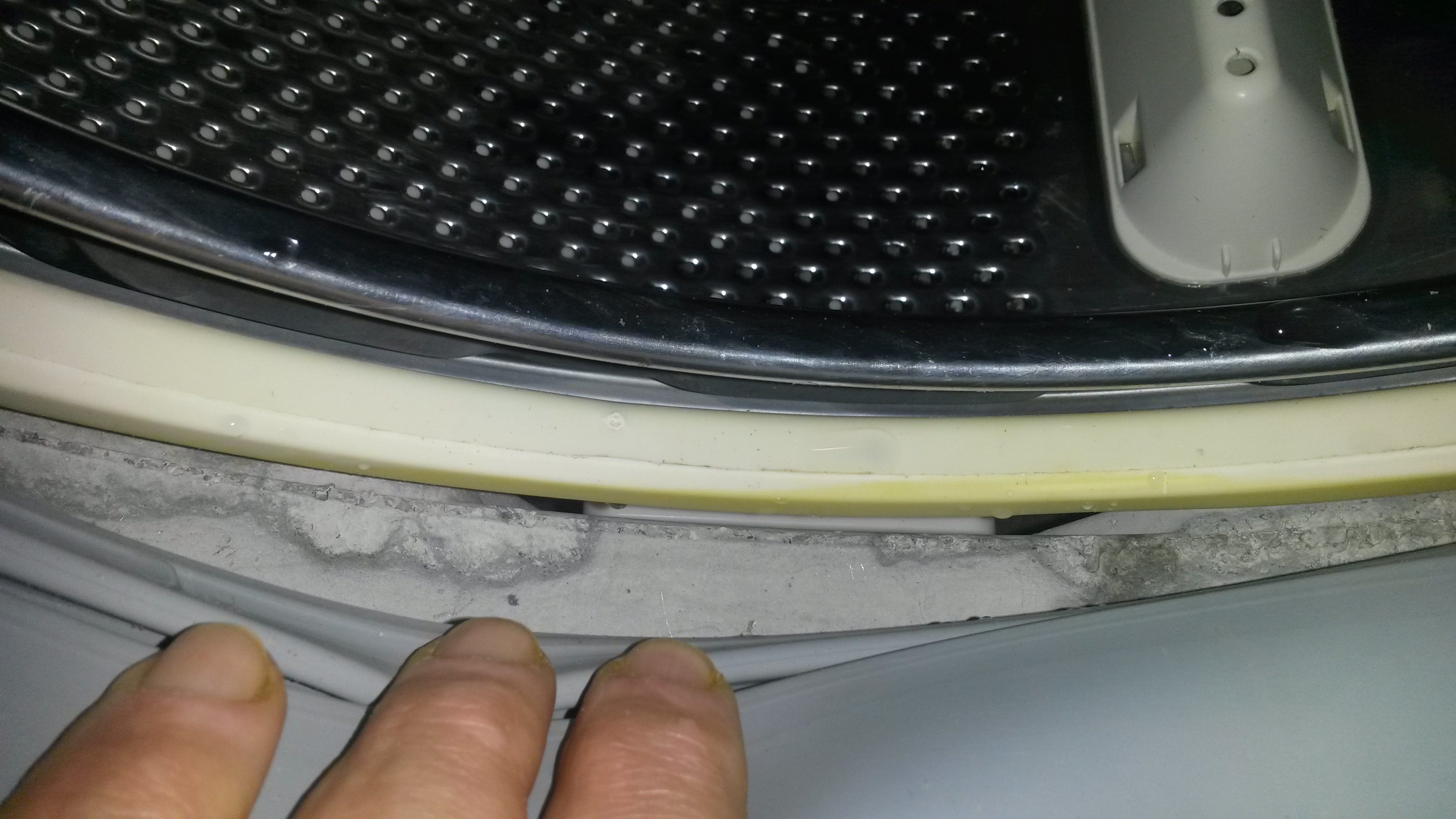 Picture for question