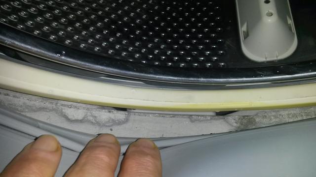 Picture for question