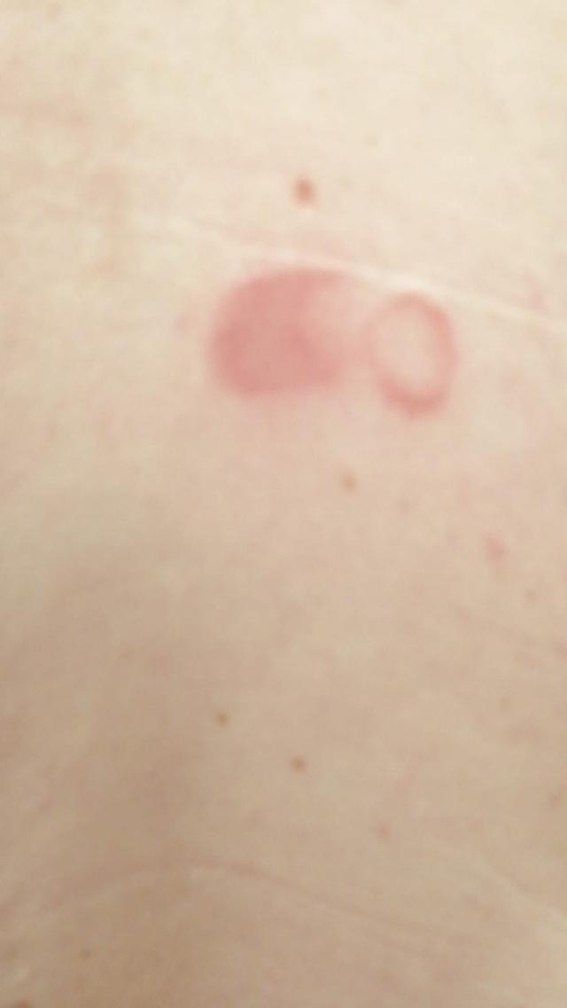 Picture for question